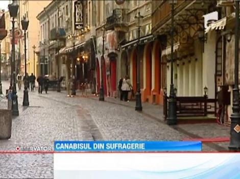 UPDATE Mai multe laboratoare de cannabis, descoperite in sapte apartamente din Capitala. Traficantii erau studenti