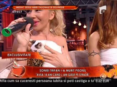 Soniei Trifan i-a murit pisoiul! L-am gasit intr-o strada deplorabila