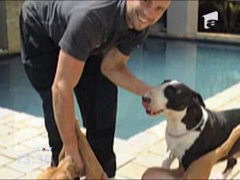 Fortareata lui Oscar Pistorius, alergatorul fara picioare care si-a impuscat mortal iubita