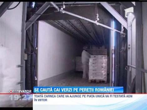 Autoritatile europene cer teste ADN pentru toate produsele din carne de vita