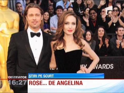 Brad Pitt si Angelina Jolie vor lansa propriul sortiment de vin