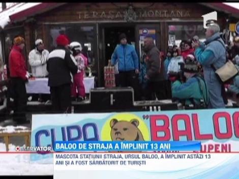 VIDEO! Petrecere surpriza pentru ursul Baloo. Laptele, fructele si mierea sunt preferatele mascotei de la Straja