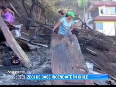 Incendiu de padure in Chile. Oamenii si-au pierdut agoniseala de-o viata