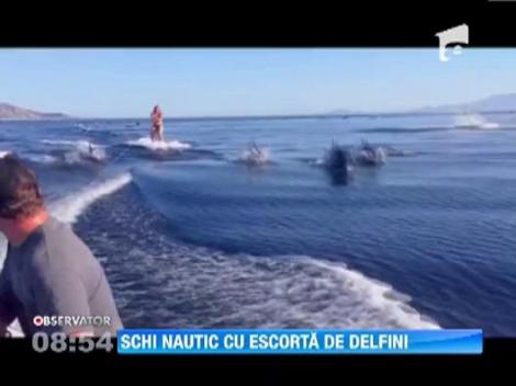 SPECTACOL INEDIT in apele unui golf mexican: Schi nautic cu escorta de delfini jucausi