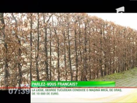 Tucudean vrea sa le arate belgienilor ca nu este baiat de bani gata