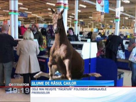 Glume de rasul cailor: "Lasagna nechezatoare" si "bucati adevarate de inorog"