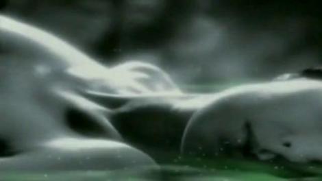 Concert Florin Chilian, in Hard Rock Cafe