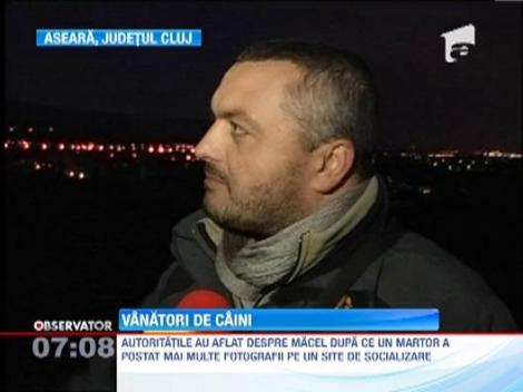 IMAGINI SOCANTE! La Cluj a inceput vanatoarea de caini maidanezi