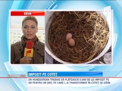 Un barbat din Alba Iulia plateste 5.000 de lei impozit pentru un cotet improvizat intr-un ARO