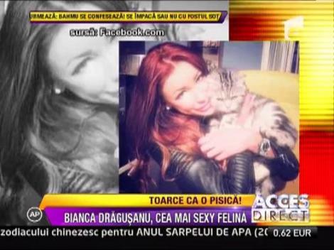 Bianca Dragusanu si-a luat pisica!
