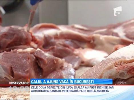 Piata carnii din Romania zguduita de un scandal de proportii! Cel putin o suta de kilograme de carne de cal au fost etichetate drept carne de vita