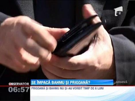 UPDATE / Prigoana i-a transmis Adrianei ca o iubeste "ca un nebun"