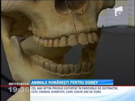 O fabrica din Oradea exporta roboti sub forma unor animale in toate colturile lumii