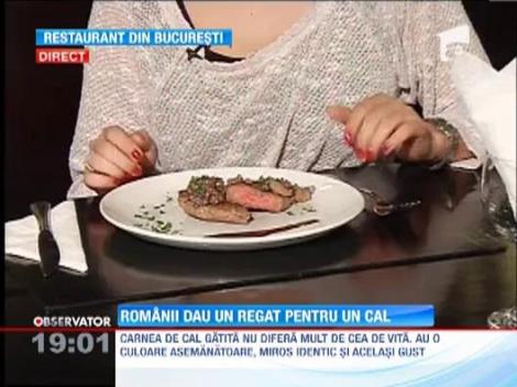 SOCANT! Carnea de cal a ajuns in restaurante si fast-food-uri! Reprezentantii firmei sunt anchetati si pentru falsificarea etichetelor