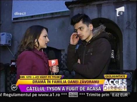 Oana Zavoranu si-a pierdut cainele! Catelul Tyson a fugit de acasa