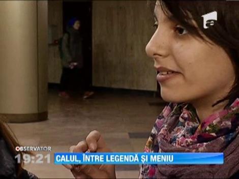 Calul, intre legenda si meniu