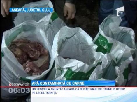 Alerta in Cluj-Napoca! Sute de kilograme de carne au fost gasite aruncate in lacul Tarnita