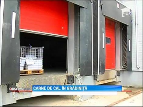 Mai multe gradinite din Capitala, pe lista clientilor depozitului de carne de cal din Blaj