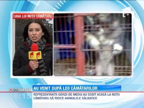 UPDATE! Garda de Mediu a venit sa-i ridice leii si ursii lui Nutu Camataru