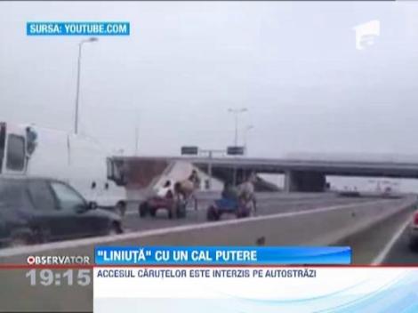 Doi vitezomani au facut o "liniuta" in carute, pe Autostrada Soarelui