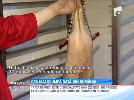 INTERZIS POFTICIOSILOR: cea mai scumpa rata din Romania. Produsul exclusivist costa 750 de lei