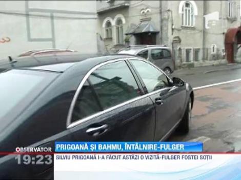 Prigoana si Bahmu, intalnire-fulger