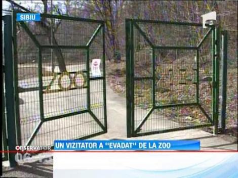 Un vizitator a "evadat" de la gradina zoologica