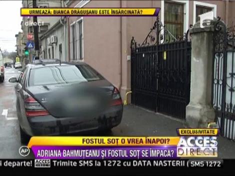 Adriana Bahmuteanu, intalnire cu Silviu Prigoana