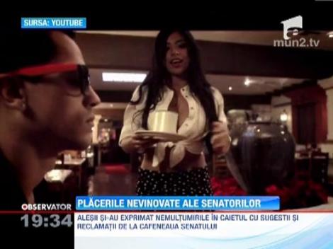 Politicienii cer ospatarite tinere si frumoase si preturi mai mici la bar