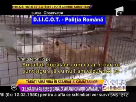 Pepe si Oana Zavoranu, legaturi cu Nutu Camataru