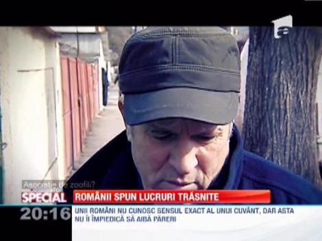 Observator special: Romanii spun lucruri trasnite... despre zoofilie