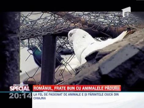 Ce animale exotice mai cresc romanii