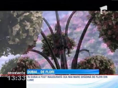 Dubai: A fost inaugurata cea mai mare gradina de flori din lume