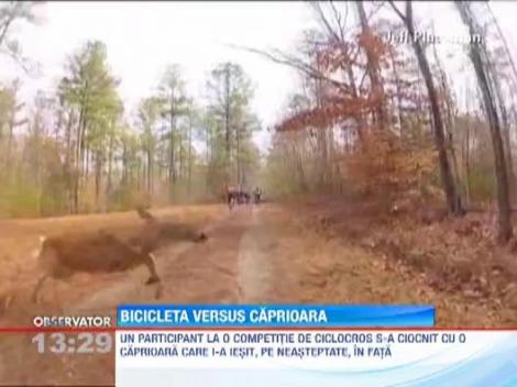 Un ciclist s-a ciocnit cu o caprioara in timpul unei curse prin padure