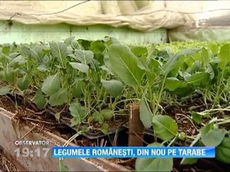 Legumele romanesti de primavara, din nou pe tarabe