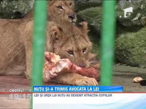 Nutu Camataru si-a trimis avocata la lei