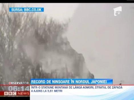 Record de ninsoare in nordul Japoniei. Stratul de zapada a ajuns la 5,61 metri!