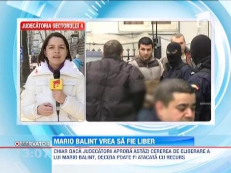 Fiul lui Sile Camataru vrea sa fie eliberat sub control judiciar