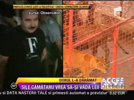 Sile Camataru vrea sa-si vada leii