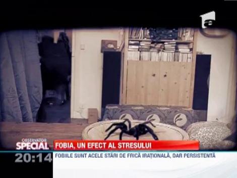 Fobiile - ce sunt si cum pot fi tratate