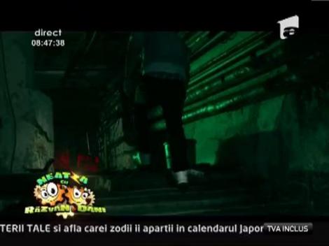 Vezi videoclipul piesei "Paradise", interpretata de Francesca!