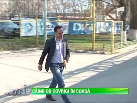 Dinamovistii sunt neplatiti de trei luni! "Cainii" asteapta banii restanti dupa victoria cu Rapid!