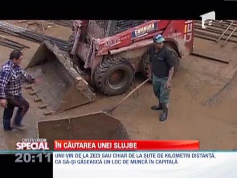 Somerii Romaniei, disperati, cauta sa lucreze cu ziua