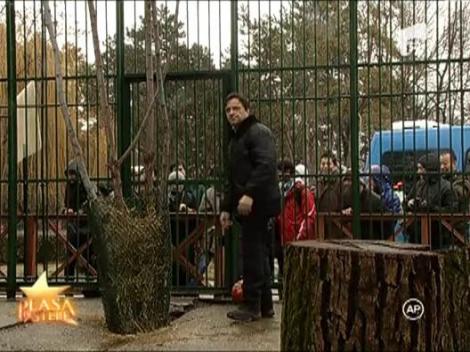 Claudiu Bleont a cazut in Plasa de Stele! Actorul a devenit exponat la zoo