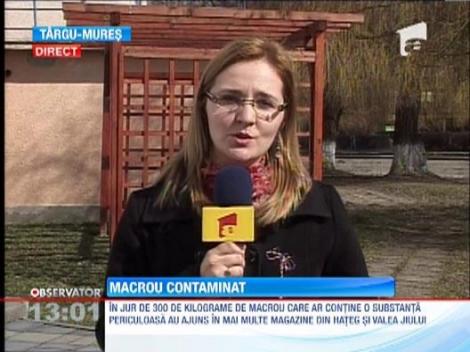 Macrou contaminat cu o substanta periculoasa, scos la vanzare in mai multe judete din tara