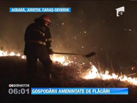 Un incendiu de vegetatie a pus in pericol casele mai multor oameni in Caras Severin