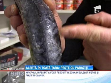Pesti cu paraziti serviti in piete si magazine