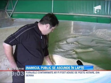 Inamicul public se ascunde in lapte