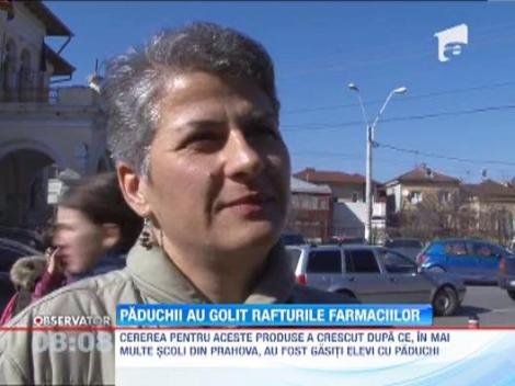 Paduchii au golit rafturile farmaciilor din Ploiesti