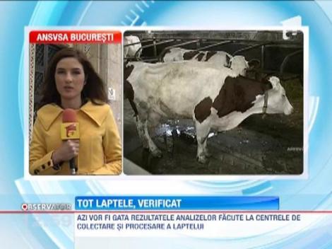 Autoritatile sanitar veterinare vor da primele rezultate din ancheta efectuata pe piata laptelui